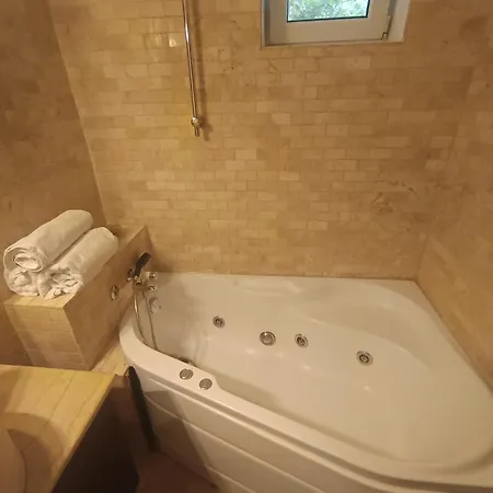 Apartment Nicolae Caramfil Bucharest