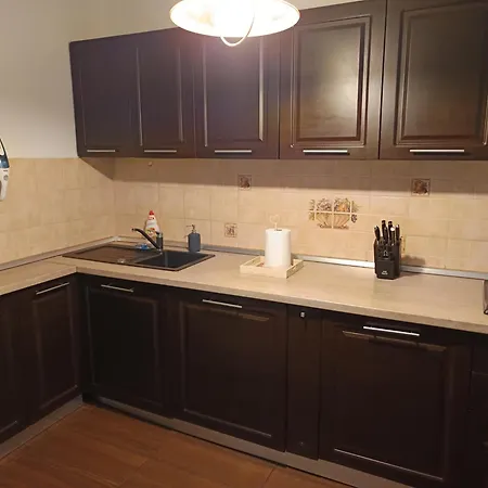 Apartmán Nicolae Caramfil *