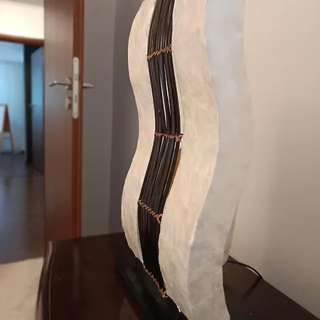 Apartmán Nicolae Caramfil