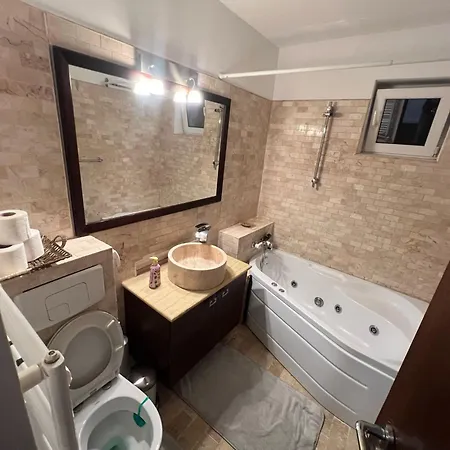 Apartmán Nicolae Caramfil *